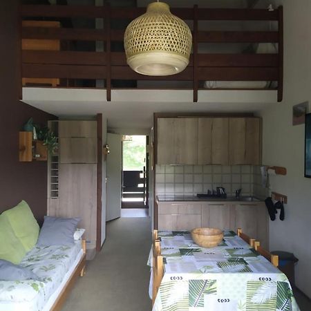 Duplex 3 Pieces. Pieds Des Pistes Et Balcon! Apartment Gresse-en-Vercors Exterior foto