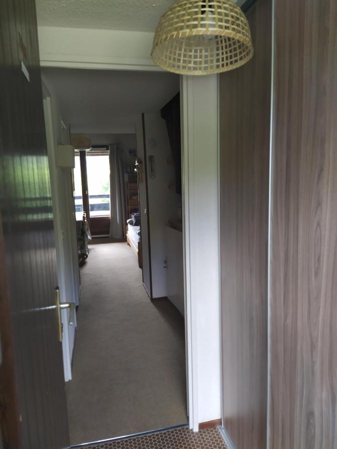 Duplex 3 Pieces. Pieds Des Pistes Et Balcon! Apartment Gresse-en-Vercors Exterior foto