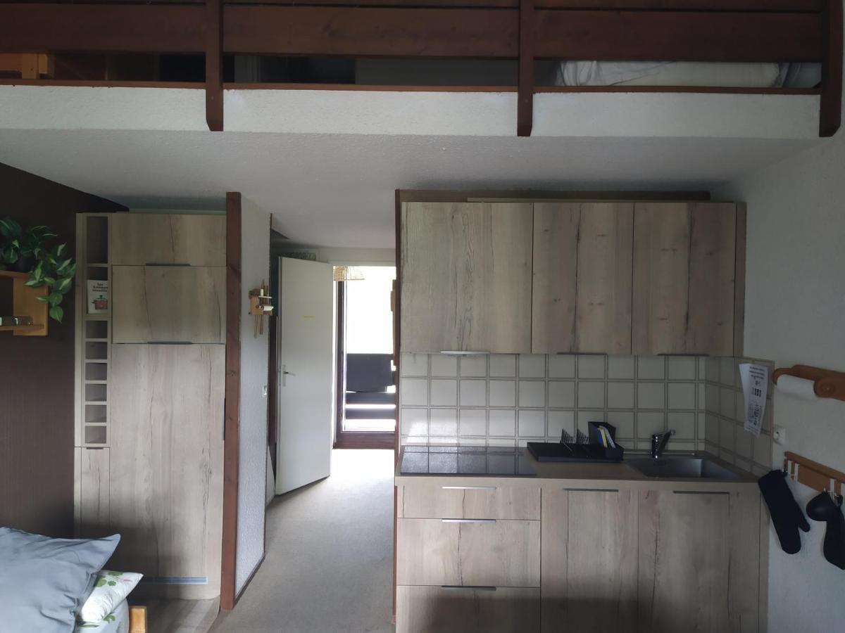 Duplex 3 Pieces. Pieds Des Pistes Et Balcon! Apartment Gresse-en-Vercors Exterior foto